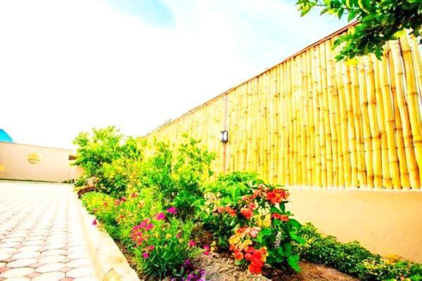 Safi House Bed & Breakfast Boma la Ngombe Exterior photo