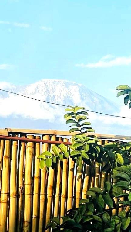 Safi House Bed & Breakfast Boma la Ngombe Exterior photo